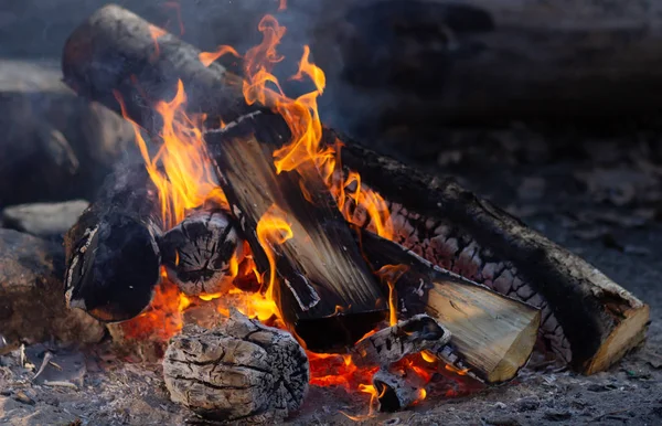 Un fuoco brucia in un falò, fuoco per riscaldarsi . — Foto Stock