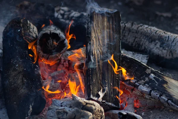 Un fuoco brucia in un falò, fuoco per riscaldarsi . — Foto Stock