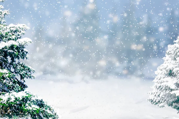 Kar yağan kış manzarası — Stok fotoğraf
