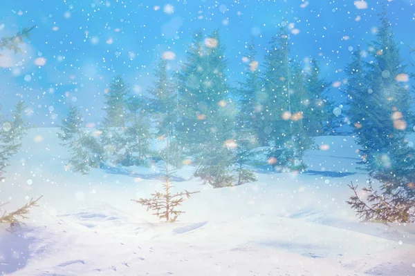 Paesaggio invernale con neve che cade — Foto Stock