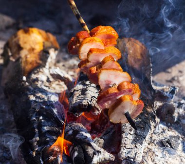 güzel mavi İlkbahar çiçekleri yakın çekim