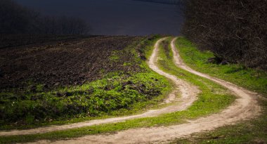Yeşil çimenli yaz manzarası, tarla yolu