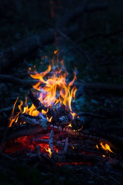 Gece kamp ateşi. Doldur.