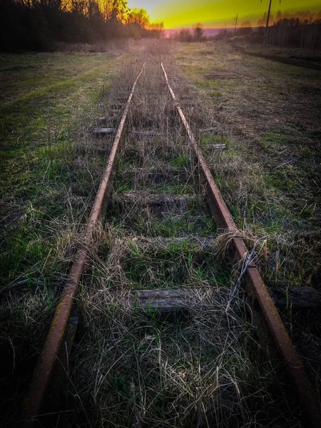 Old Railway Track Forest Sunset Nature — Stock Photo, Image