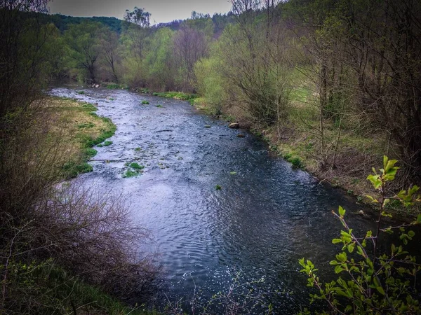 Primavera Paisagem Dniester Rio Canyon Ucrânia — Fotografia de Stock