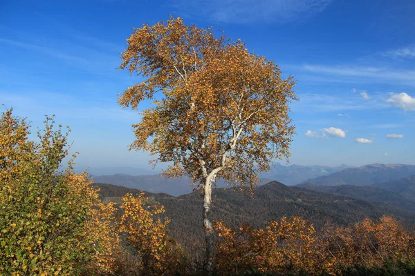 Sonbahar dağlarda.