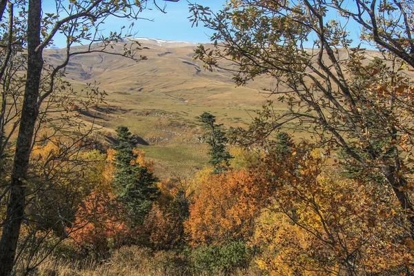 Yayla Lagonaki Güz.
