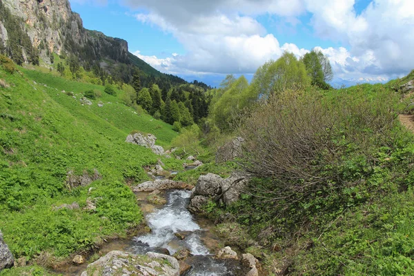 Dağ nehir Armeniananka.
