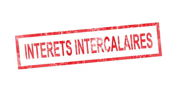 Mellanliggande intressen i fransk översättning i rött rektangulärt — Stockfoto