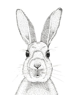 Noktalı tavşan. Şirin bir hayvan dik dik bakıyor. Paskalya sembolü.