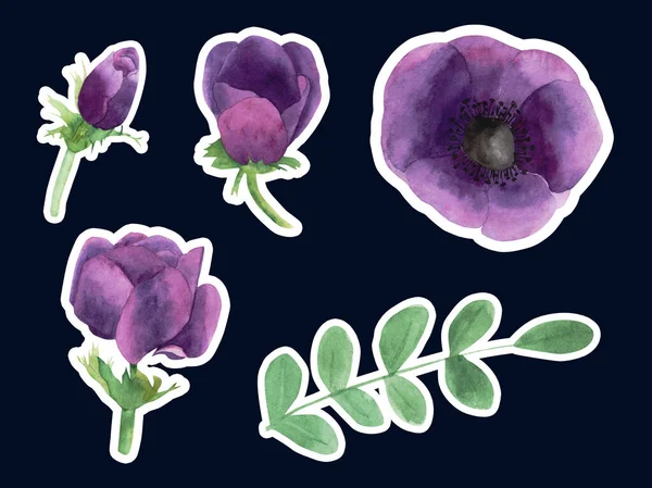 Cute flower stickers. Stickers Anemones. Can be used as stickers and decoration of your design. Hand-drawn illustration.