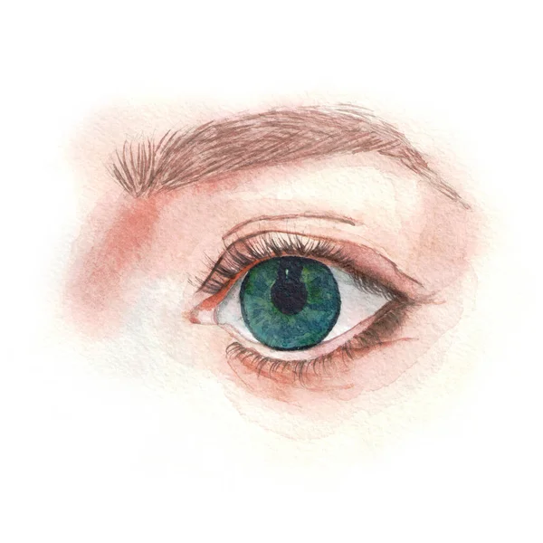 Ilustrace Výhledového Oka Technika Akvarelu Kresba Zblízka — Stock fotografie