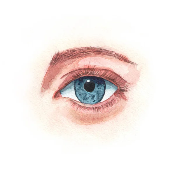 Dibujo Ojo Azul Con Una Ceja Pestañas Largas Ilustración Acuarela —  Fotos de Stock
