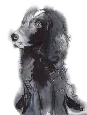 Şirin bir spanyel 'in suluboya çizimi. Beyaz arka planda elle izole edilmiş bir köpek tasviri.