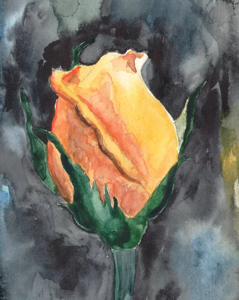 暗い背景を背景に黄色のバラを描く フリーハンド水彩イラスト — ストック写真