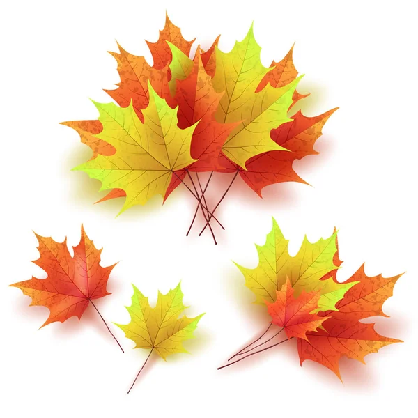 Φύλλα του φθινοπώρου. Φωτεινά πολύχρωμα σφενδάμνου φθινόπωρο φύλλα. Πρότυπο fo — Διανυσματικό Αρχείο