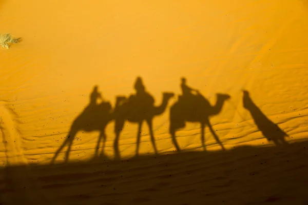 Sahara Největší Vyprahlá Poušť Světě Hvězdy Maroku Směsí Písku Skály — Stock fotografie