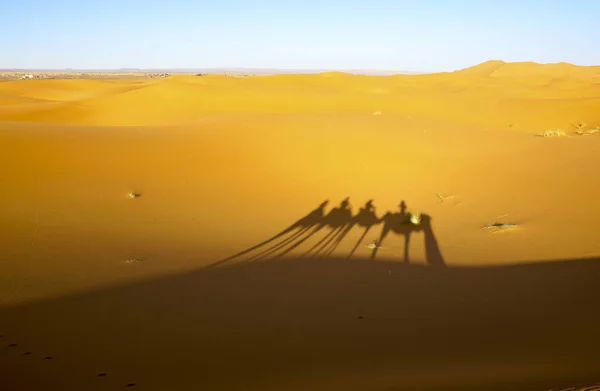 Szahara Legnagyobb Száraz Sivatag Világon Csillagok Marokkóban Keveréke Homok Szikla — Stock Fotó