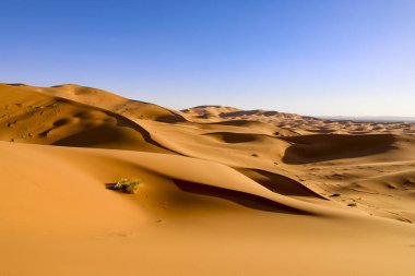 Sahra dünyanın en büyük kurak çölü, Fas 'taki yıldızlar kum ve kaya karışımı..