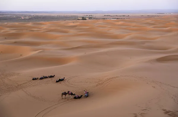撒哈拉沙漠是世界上最大的干旱沙漠 在摩洛哥 星星与沙子和岩石混合在一起 — 图库照片