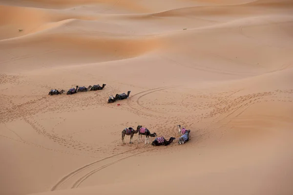 Sahara Desierto Árido Más Grande Del Mundo Estrellas Marruecos Con —  Fotos de Stock