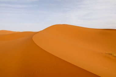 Sahra, dünyanın en büyük kurak çöllerinden biridir..