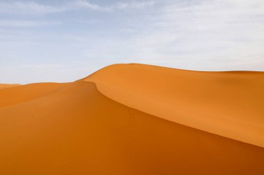 Sahra, dünyanın en büyük kurak çöllerinden biridir..