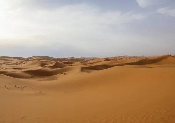 Σαχάρα Είναι Μια Από Τις Μεγαλύτερες Άγονες Έρημος Στον Κόσμο — Φωτογραφία Αρχείου