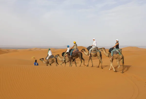 Une Caravane Chameaux — Photo