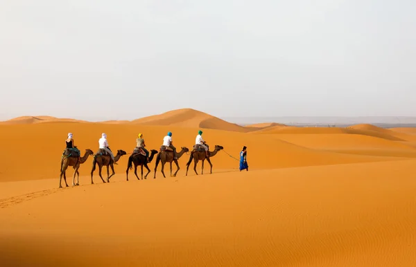 サハラ砂漠は世界最大の砂漠の一つです — ストック写真