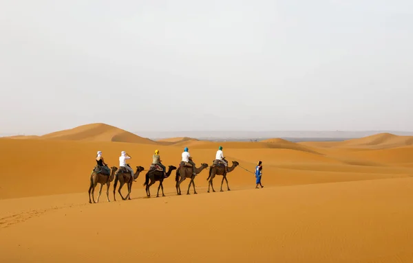 Sahara Est Des Grands Déserts Arides Monde — Photo