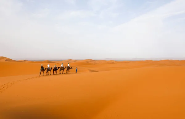 撒哈拉沙漠是世界上最大的干旱沙漠之一 — 图库照片