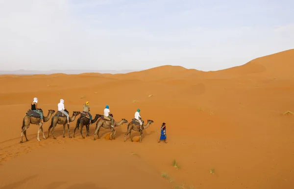 Sahara Een Van Grootste Dorre Woestijn Ter Wereld — Stockfoto