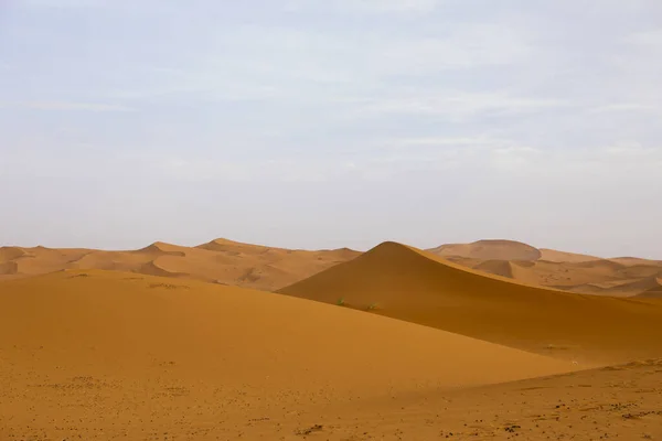 Sahara Più Grande Deserto Arido Del Mondo Stelle Marocco Con — Foto Stock