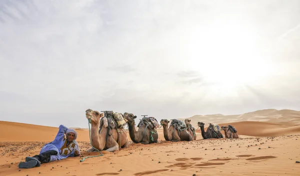 Sahara Grand Désert Aride Monde Étoiles Maroc Avec Mélange Sable — Photo