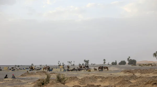 サハラ砂漠は世界最大の砂漠で モロッコには砂と岩が混在しています — ストック写真