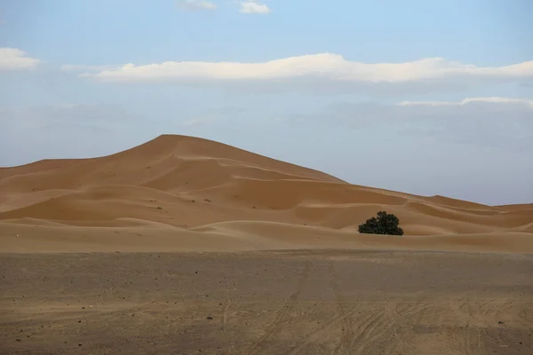 Sahara Jest Największą Pustynią Świecie Gwiazdy Maroku Mieszaniną Piasku Skał — Zdjęcie stockowe