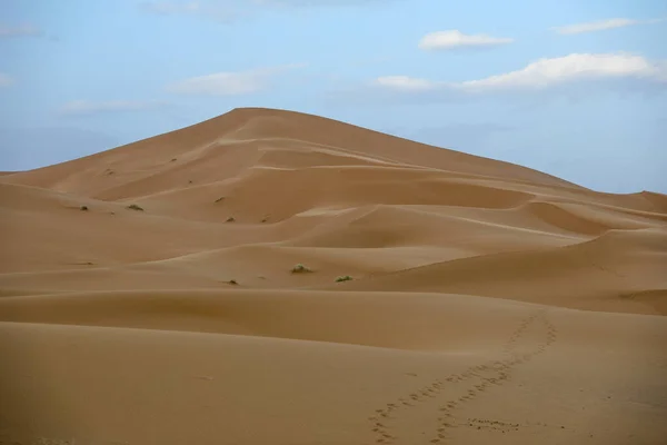 Saara Maior Deserto Árido Mundo Estrelas Marrocos Com Uma Mistura — Fotografia de Stock