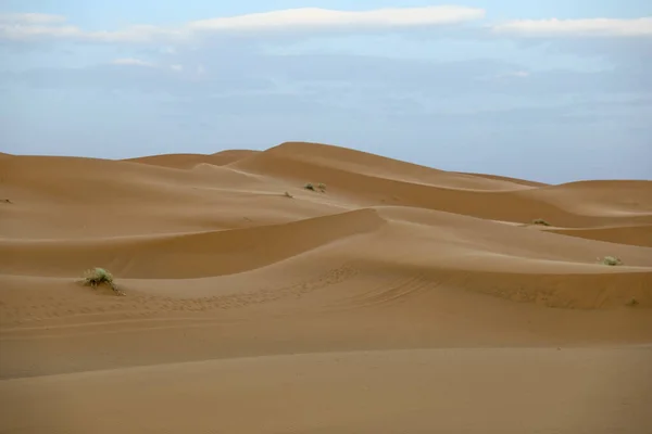 Saara Maior Deserto Árido Mundo Estrelas Marrocos Com Uma Mistura — Fotografia de Stock