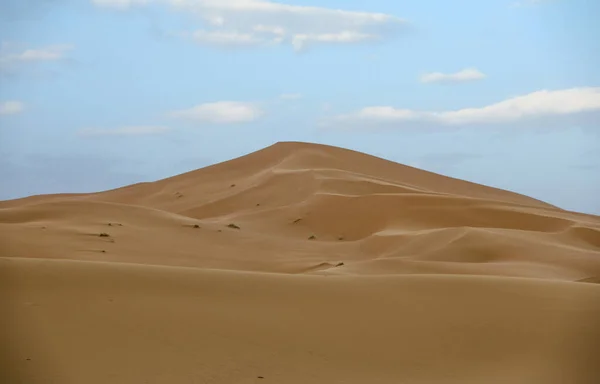 Sahara Più Grande Deserto Arido Del Mondo Stelle Marocco Con — Foto Stock
