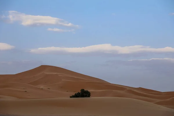 Sahara Più Grande Deserto Arido Del Mondo Stelle Marocco Con — Foto Stock