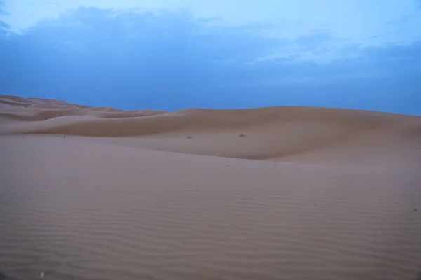 Sahara Desierto Árido Más Grande Del Mundo Estrellas Marruecos Con —  Fotos de Stock