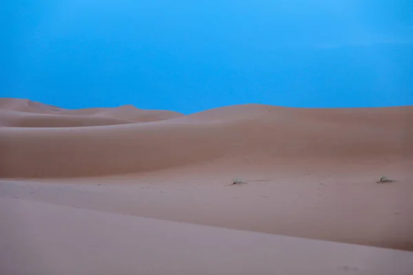 撒哈拉沙漠是世界上最大的干旱沙漠 星星与沙子和岩石混合在一起 — 图库照片