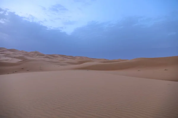 Σαχάρα Μεγαλύτερη Άνυδρη Έρημος Στον Κόσμο Αστέρια Στο Μαρόκο Ένα — Φωτογραφία Αρχείου