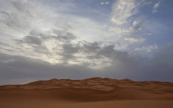 Sahara Největší Vyprahlá Poušť Světě Hvězdy Maroku Směsí Písku Skály — Stock fotografie