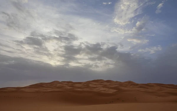 Sahara Più Grande Deserto Arido Del Mondo Stelle Del Marocco — Foto Stock