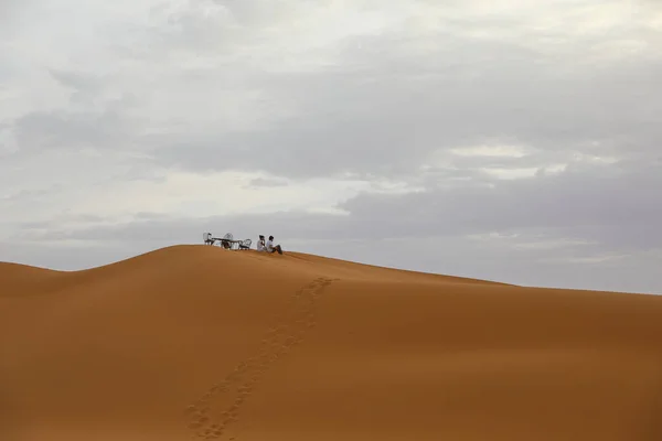 Sahara Desierto Árido Más Grande Del Mundo Estrellas Marruecos Con — Foto de Stock