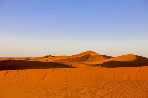 Szahara Világ Legnagyobb Száraz Sivatagja Csillagok Marokkóban Homok Szikla Keverékével — Stock Fotó