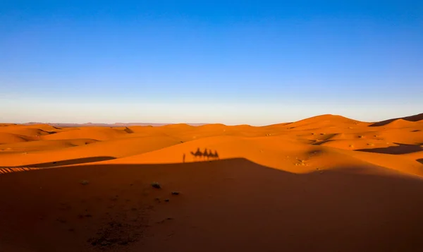 撒哈拉沙漠是世界上最大的干旱沙漠 星星与沙子和岩石混合在一起 — 图库照片
