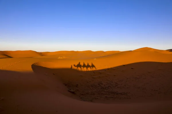 Sahara Grootste Dorre Woestijn Ter Wereld Sterren Marokko Met Een — Stockfoto